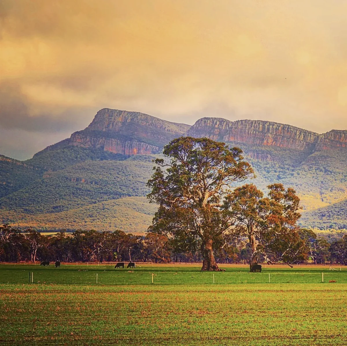 10 wondeful experiences in the Grampians