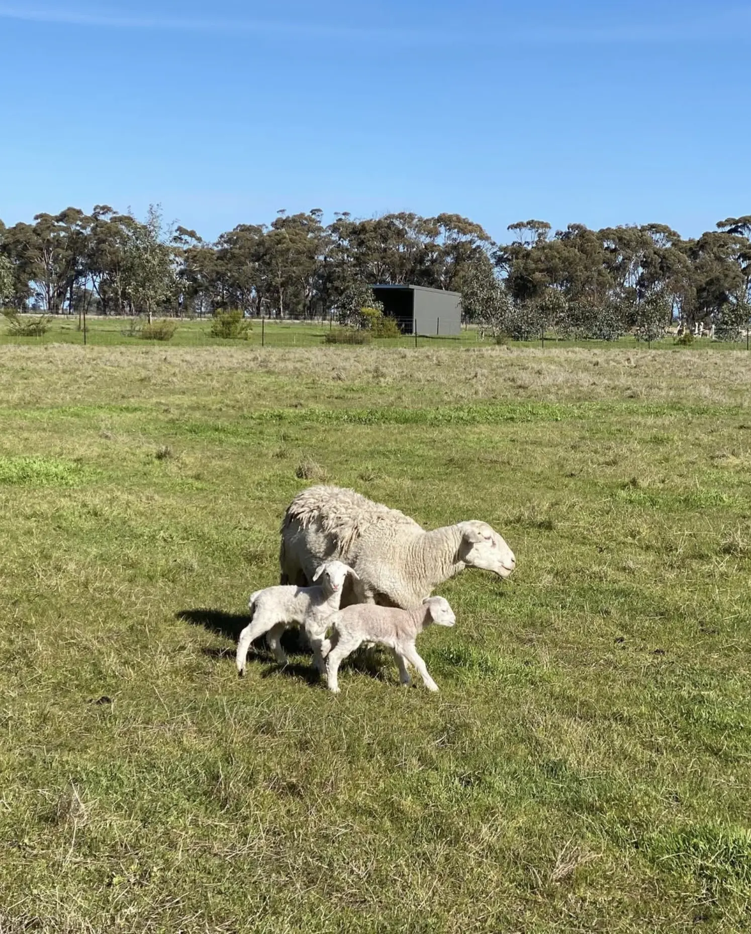 A Historical Overview