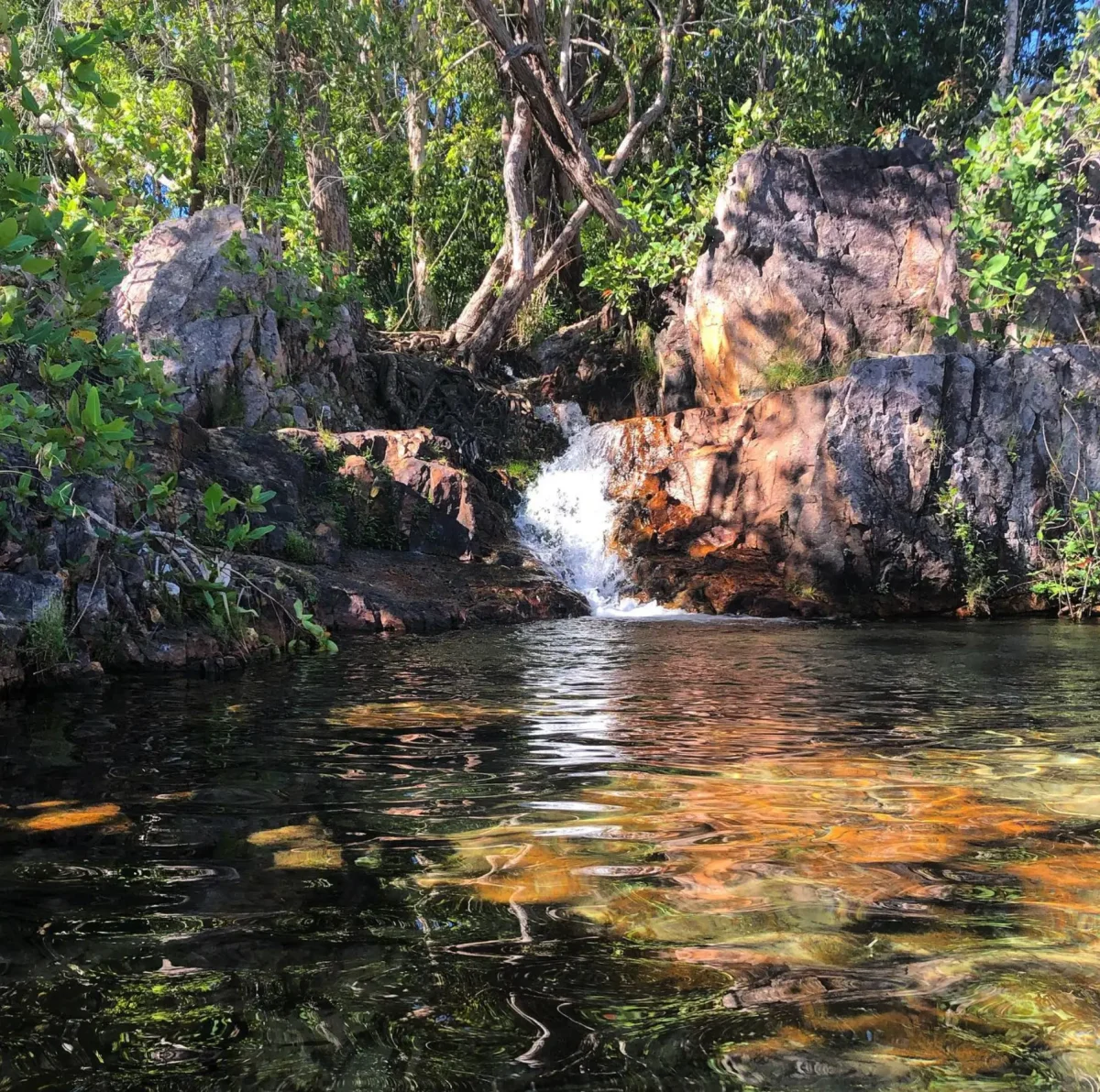All-Inclusive vs. DIY Is the $140 Full-Day Croc & Litchfield Tour Worth It
