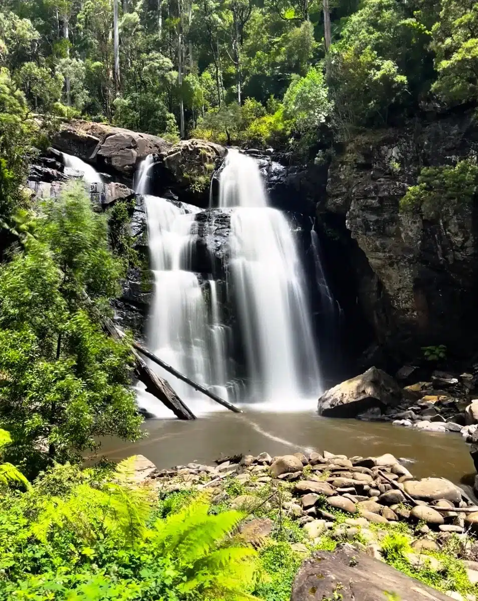 Consider making a stop at Stevenson Falls