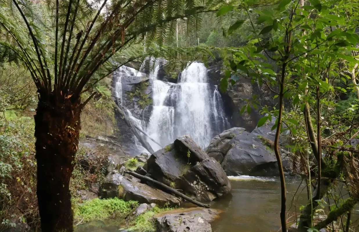 Consider making a stop at Stevenson_s Falls