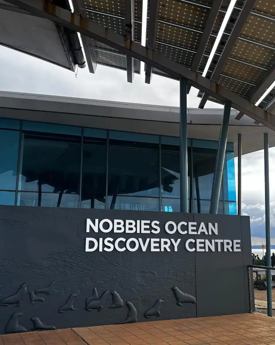 Delve into a Virtual Adventure at Nobbies Antarctic Centre