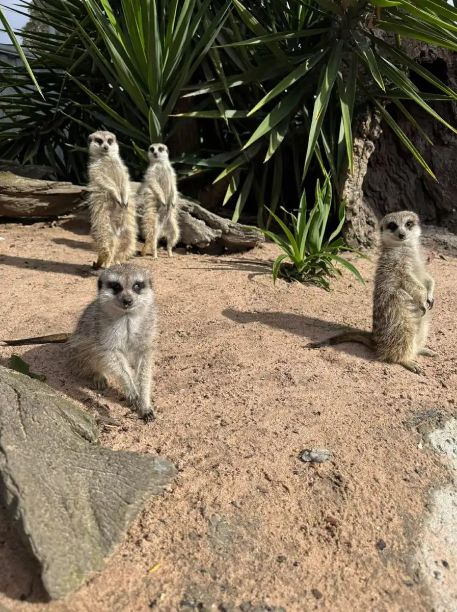 Discover Wildlife at Halls Gap Zoo