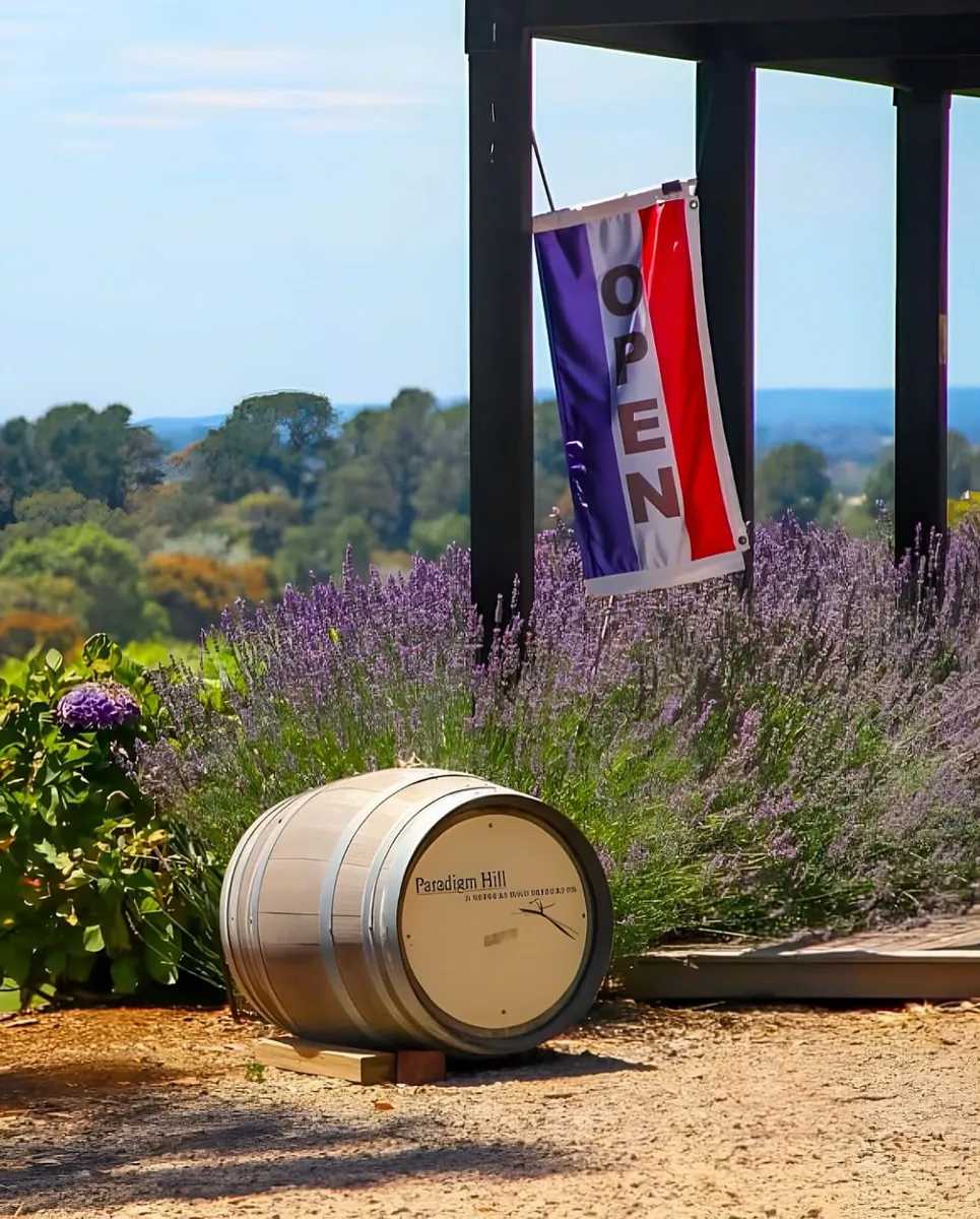 Embark on a Wine-Tasting Adventure