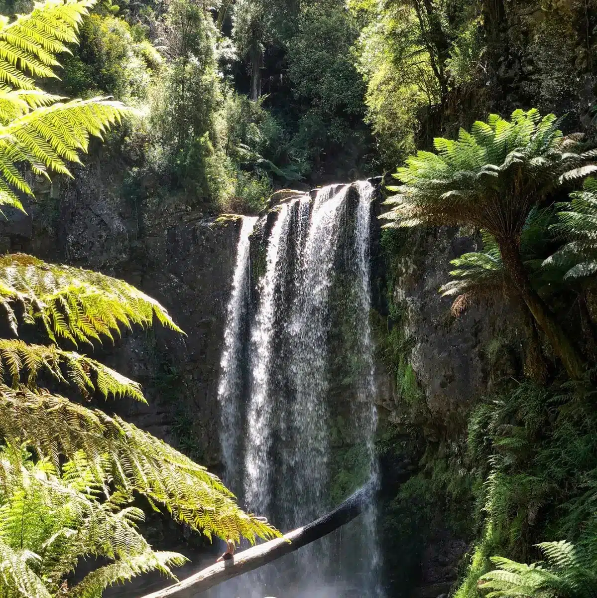 Enjoy the beauty of nature at Hopetoun Falls