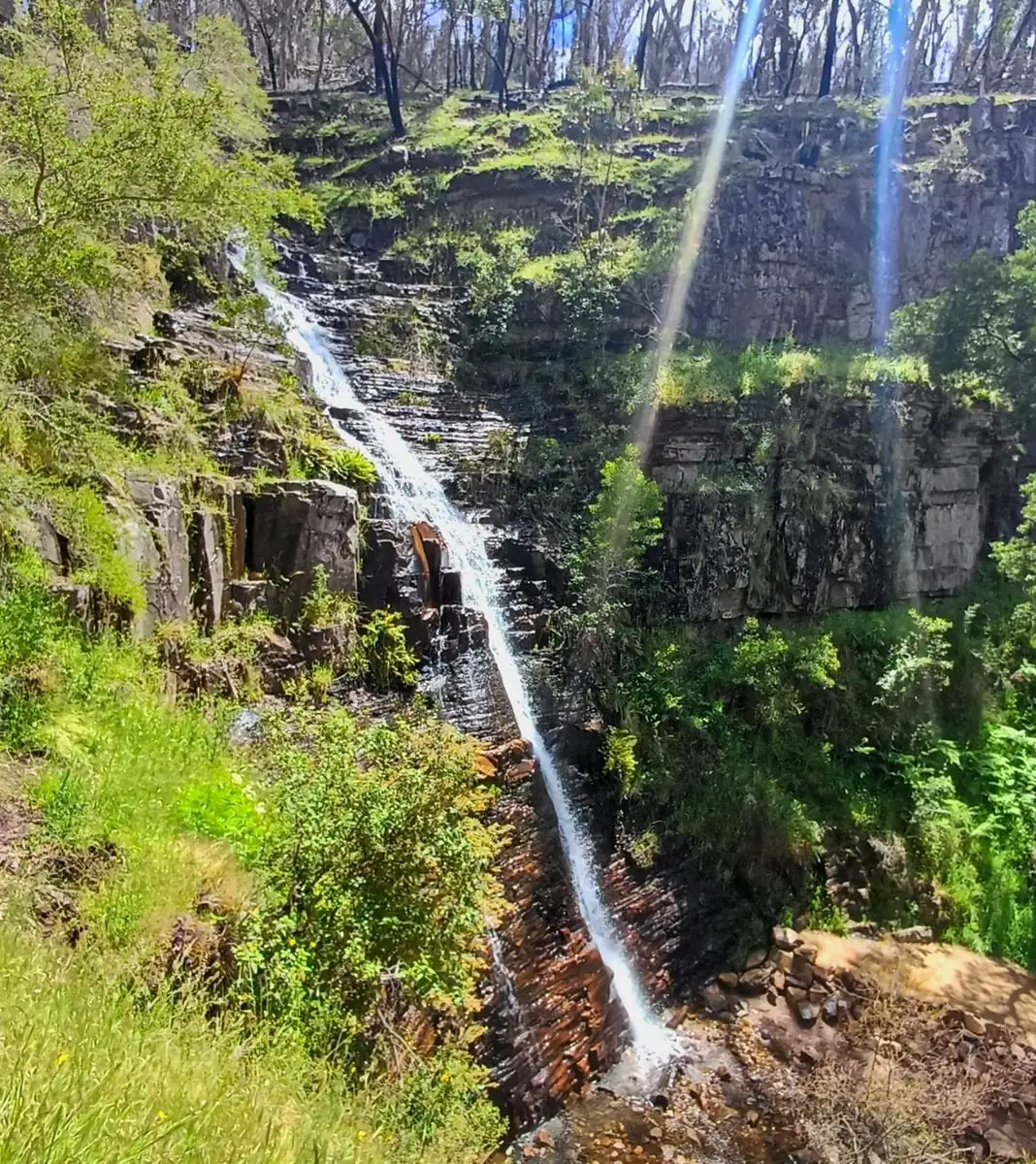 Escape the Crowds at Silverband Falls