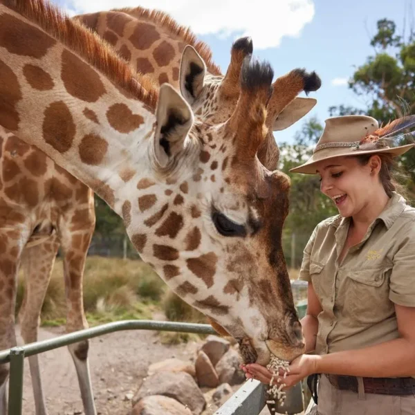 Halls Gap Zoo