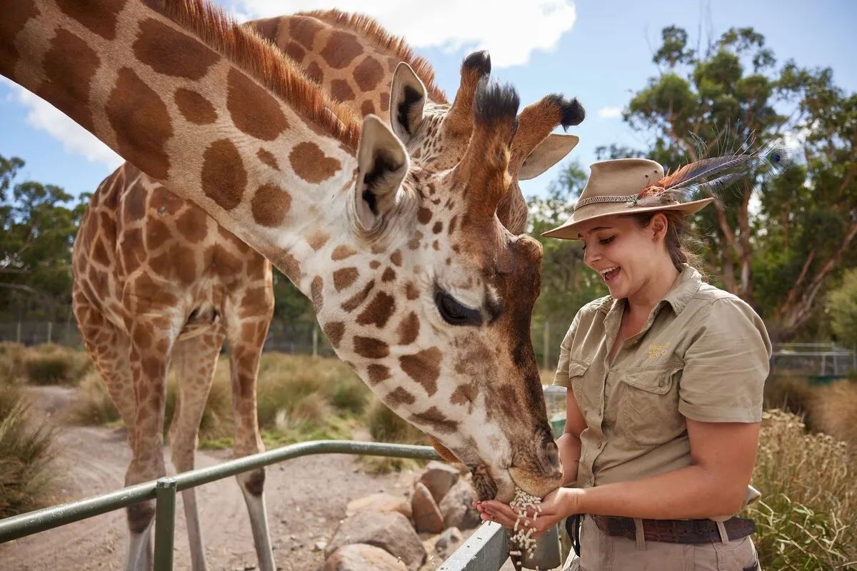 Halls Gap Zoo