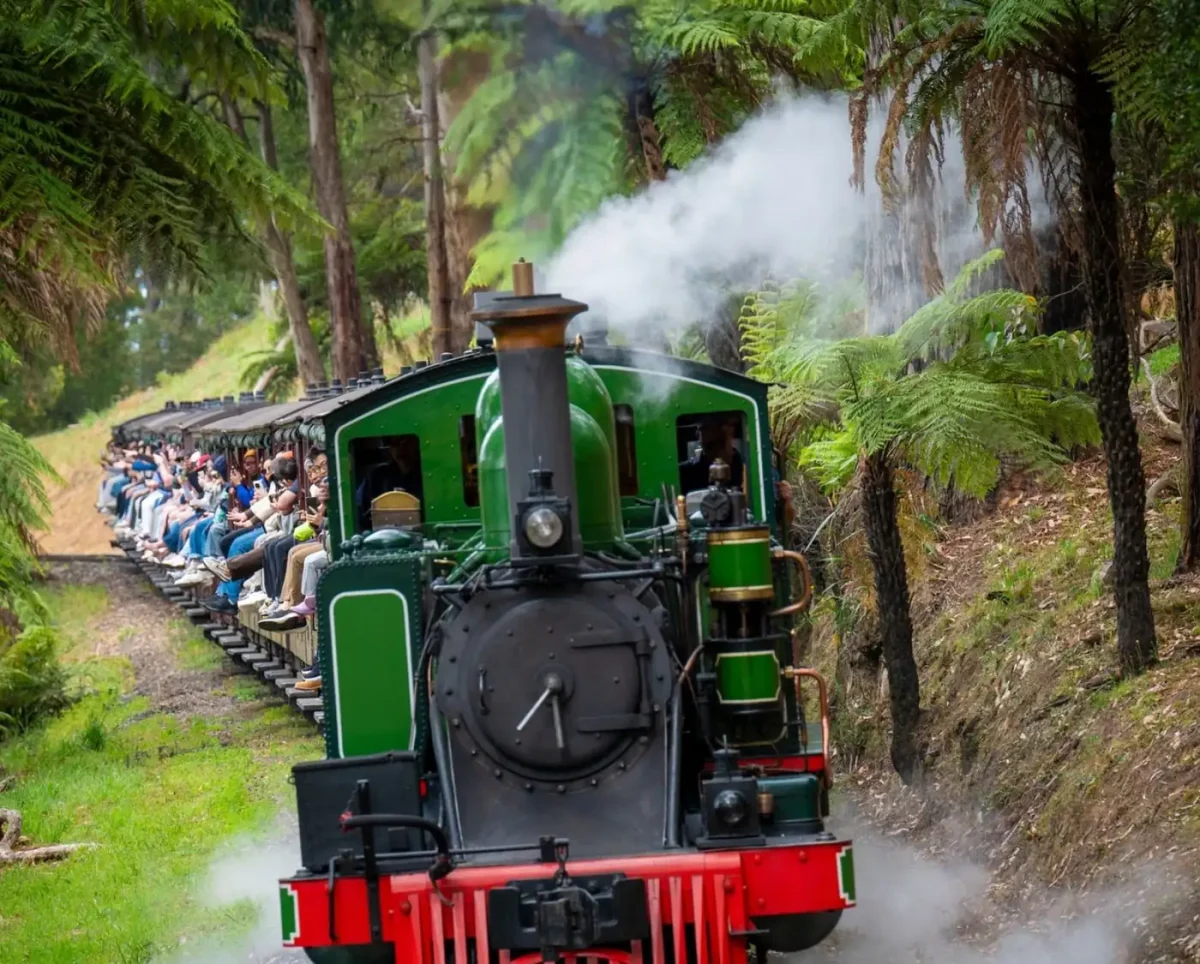 Is The Puffing Billy Train Better Experienced As A Standalone Trip Or Paired With Phillip Island