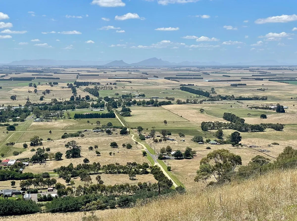 Mount Rouse Viewpoint