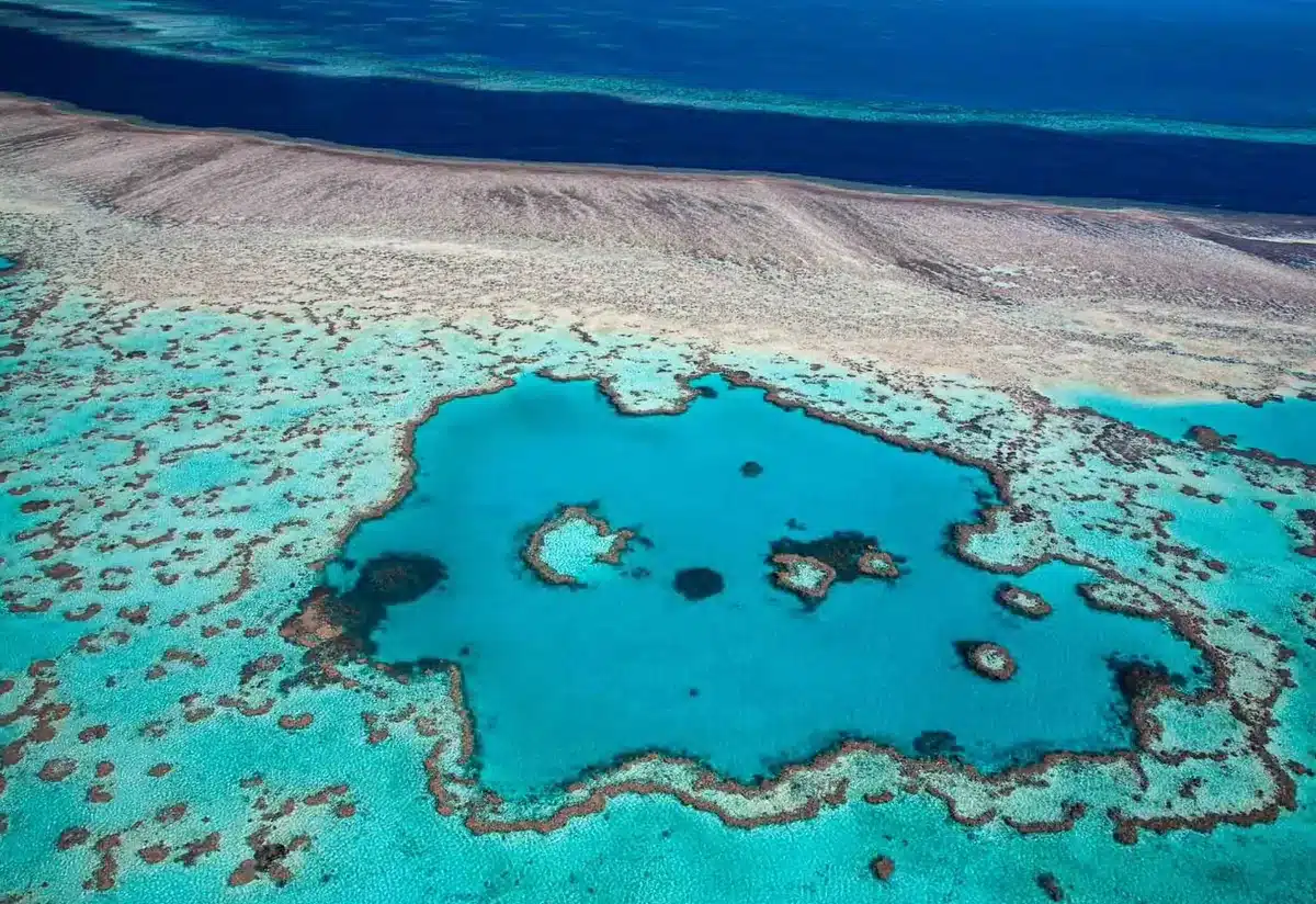 Offshore Reefs Thrive In Winter