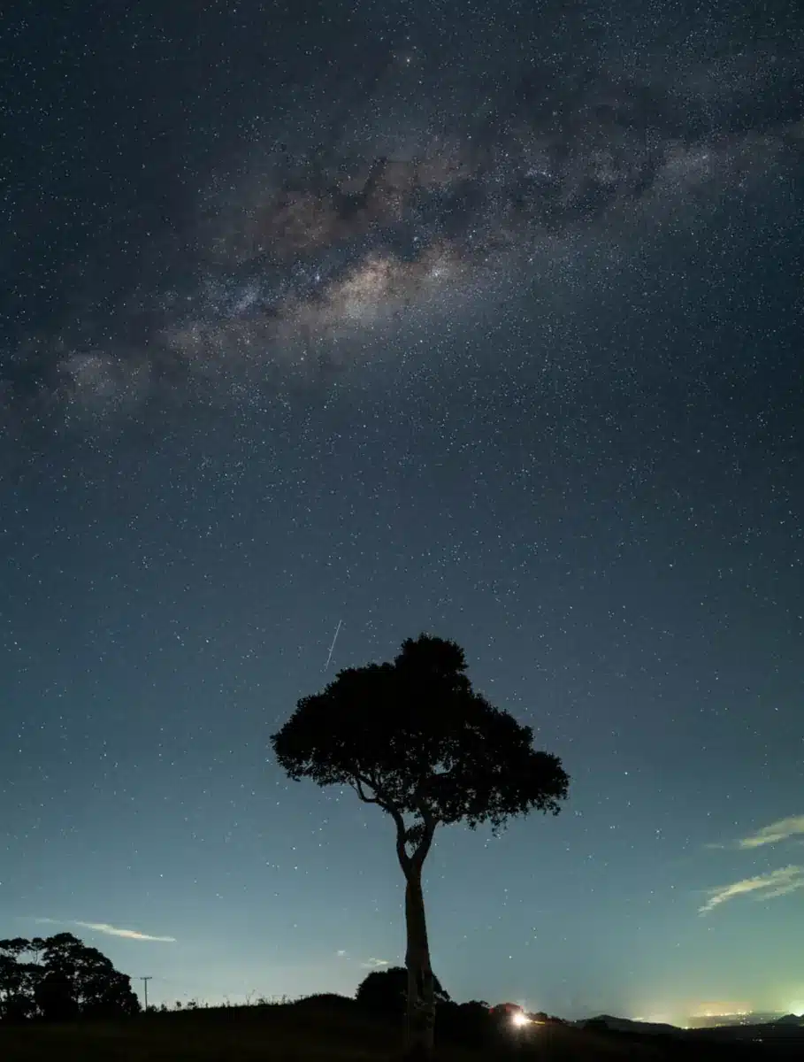 One Tree Hill