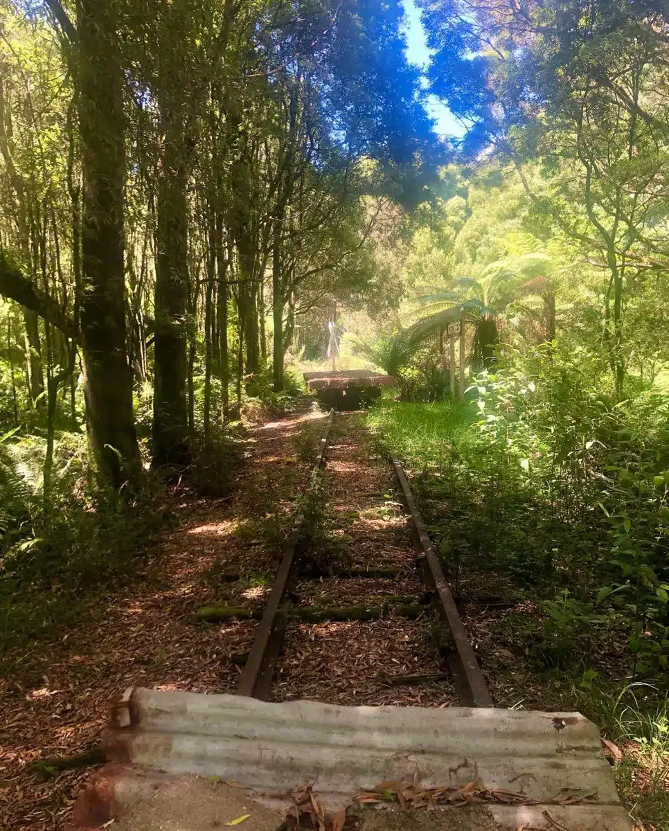 One can enjoy a stroll along the Old Beechy Rail Trail
