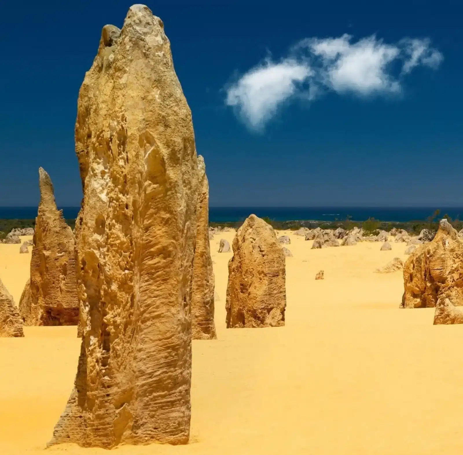 Pinnacles Desert photography rules