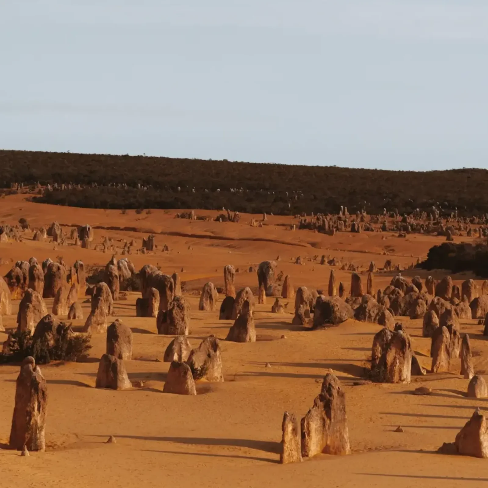 Pinnacles Desert rules for tourists