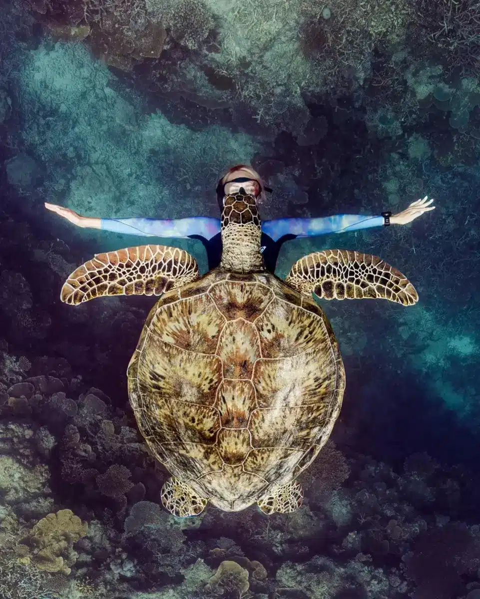 Protecting The Reef While You Explore