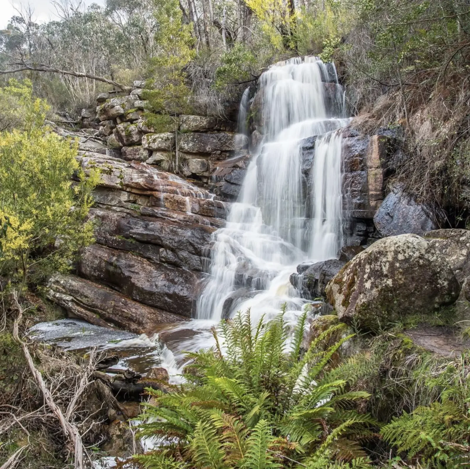 Splitters Falls