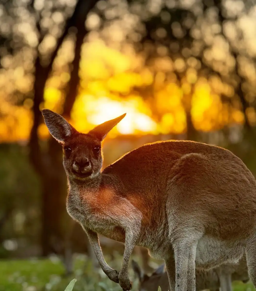 Stay Alert To Wildlife And Weather