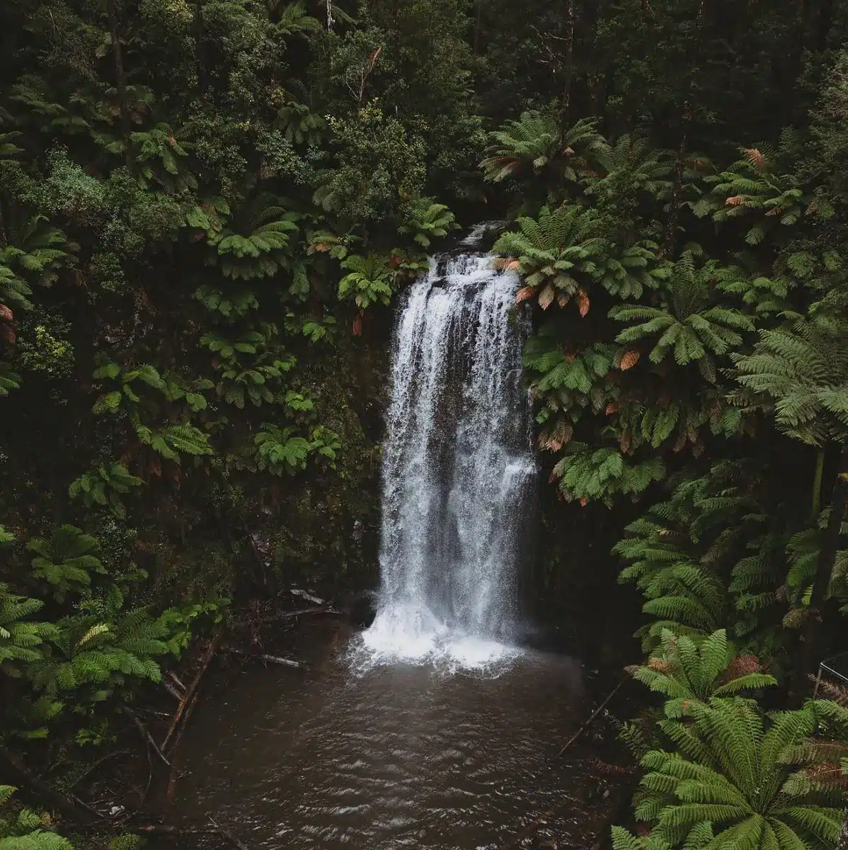 Swim in Beauchamp Falls
