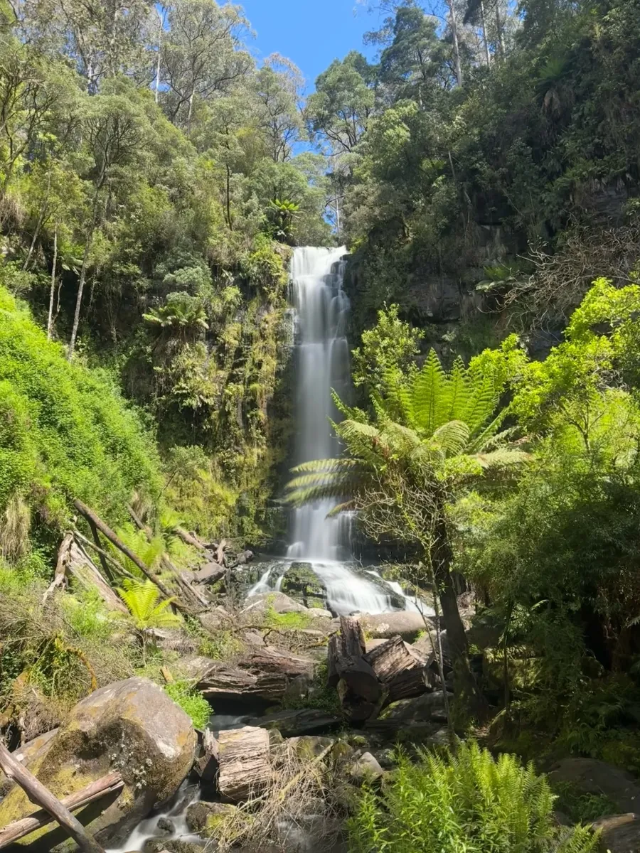 Things to do in the Otways