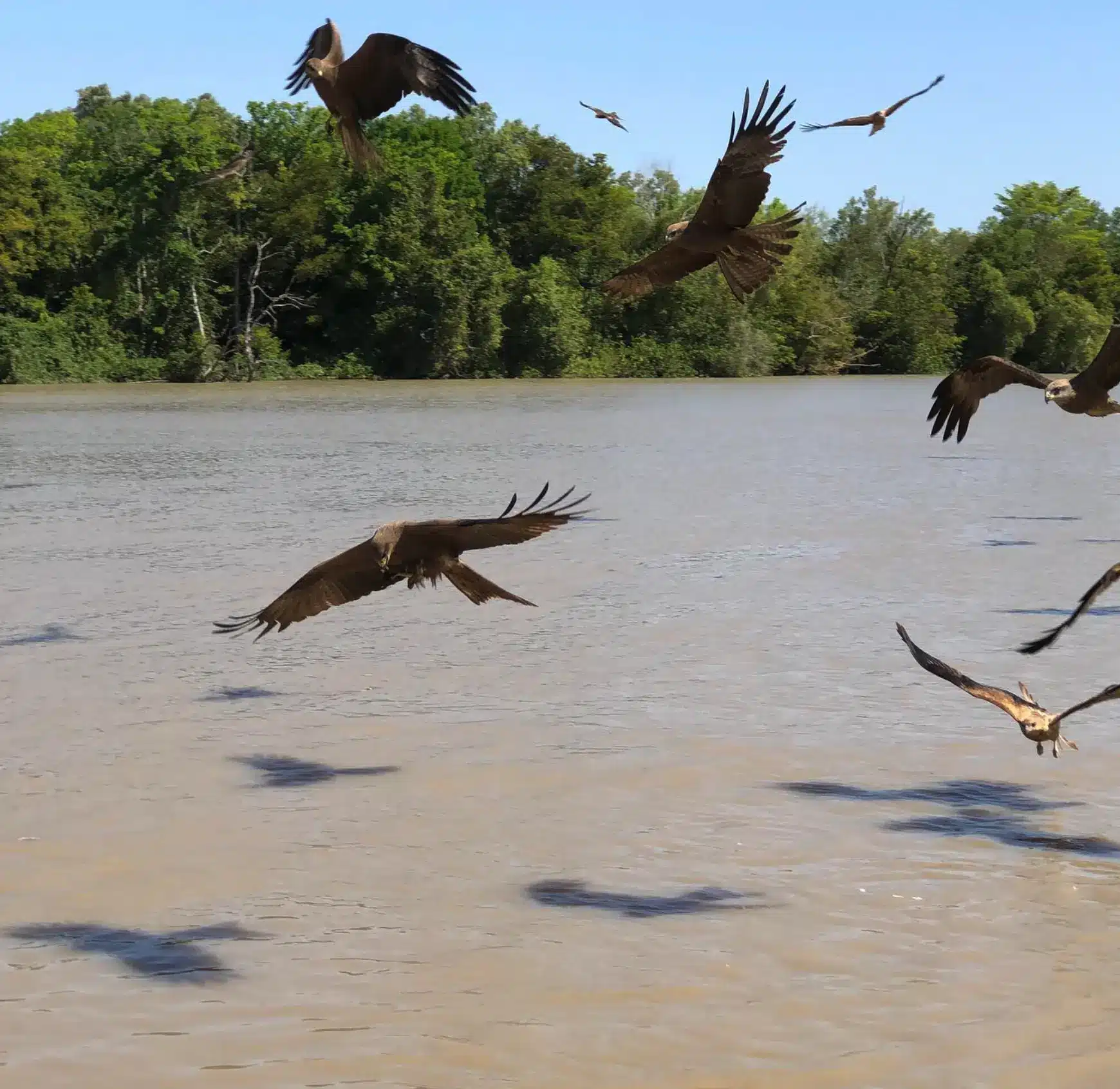 Tourism, Conservation & Responsibility
