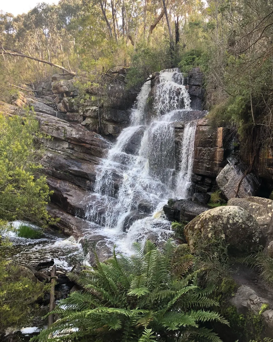 Visit the Grampians National Park