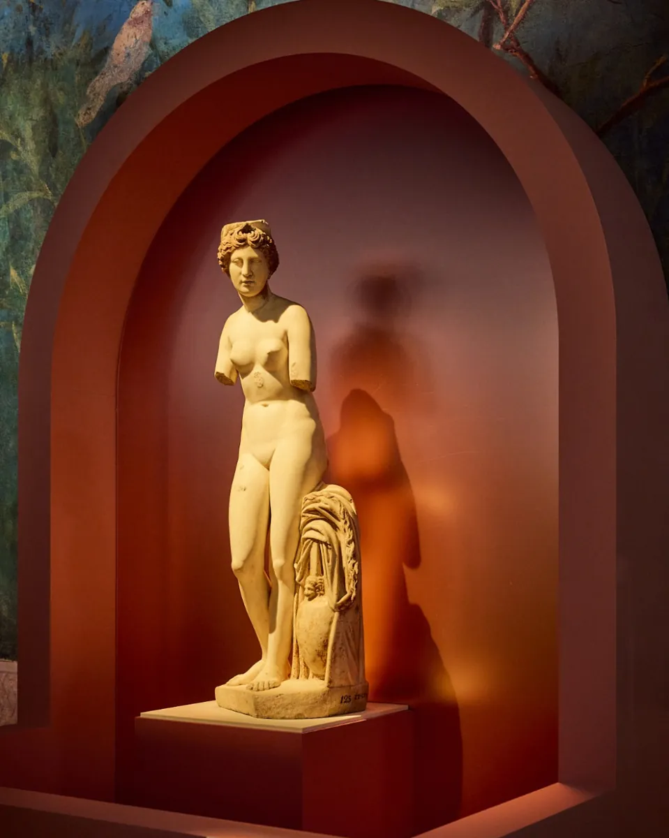 Visit the Melbourne Museum to experience a rich cultural immersion