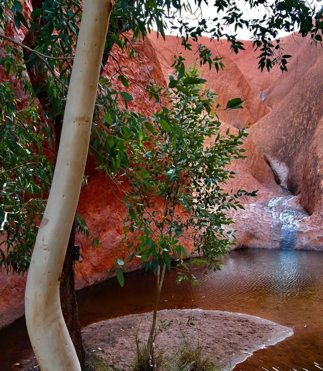 Getting To Uluru Without Stuffing It Up