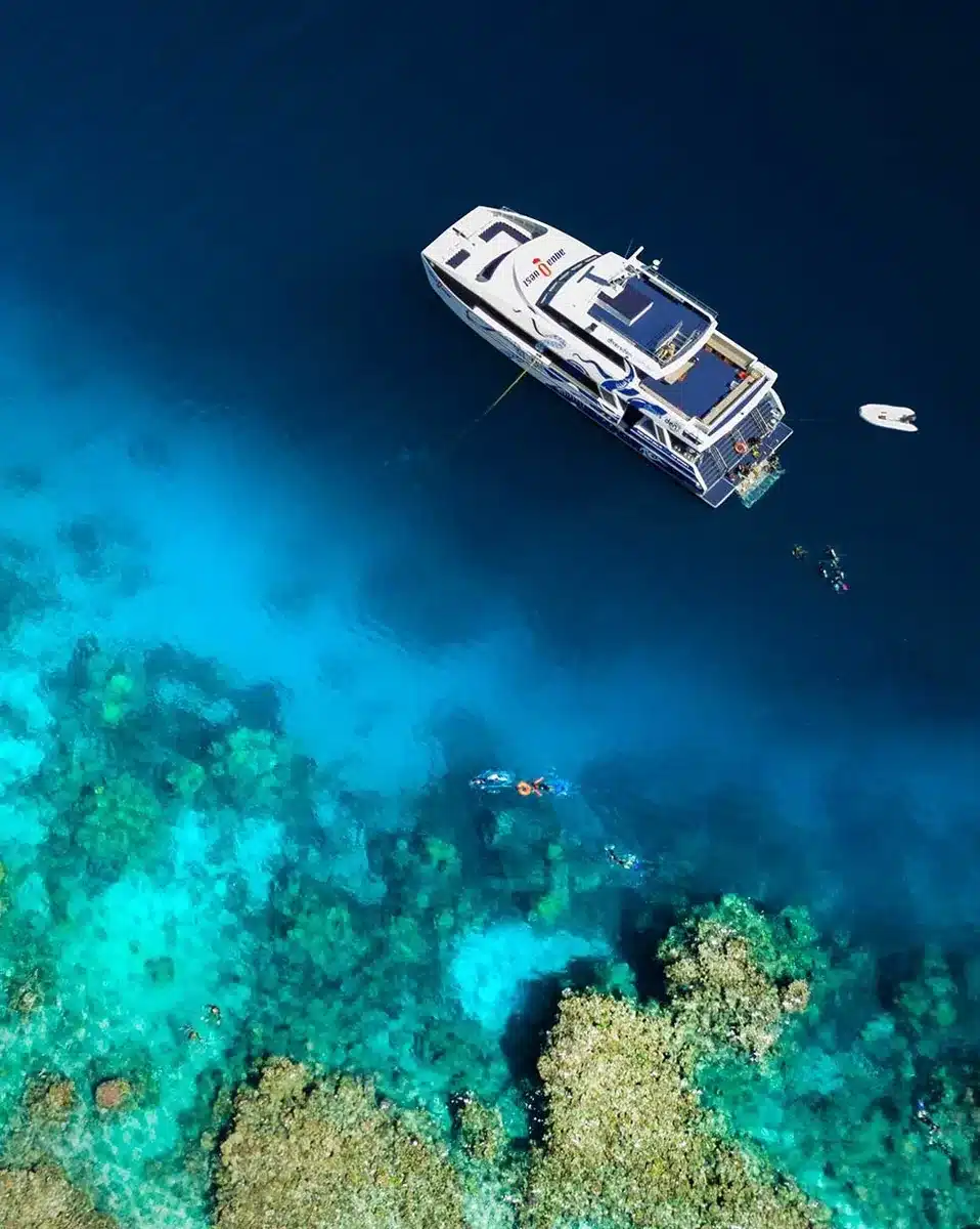 What Is the Real Difference in Marine Life Density