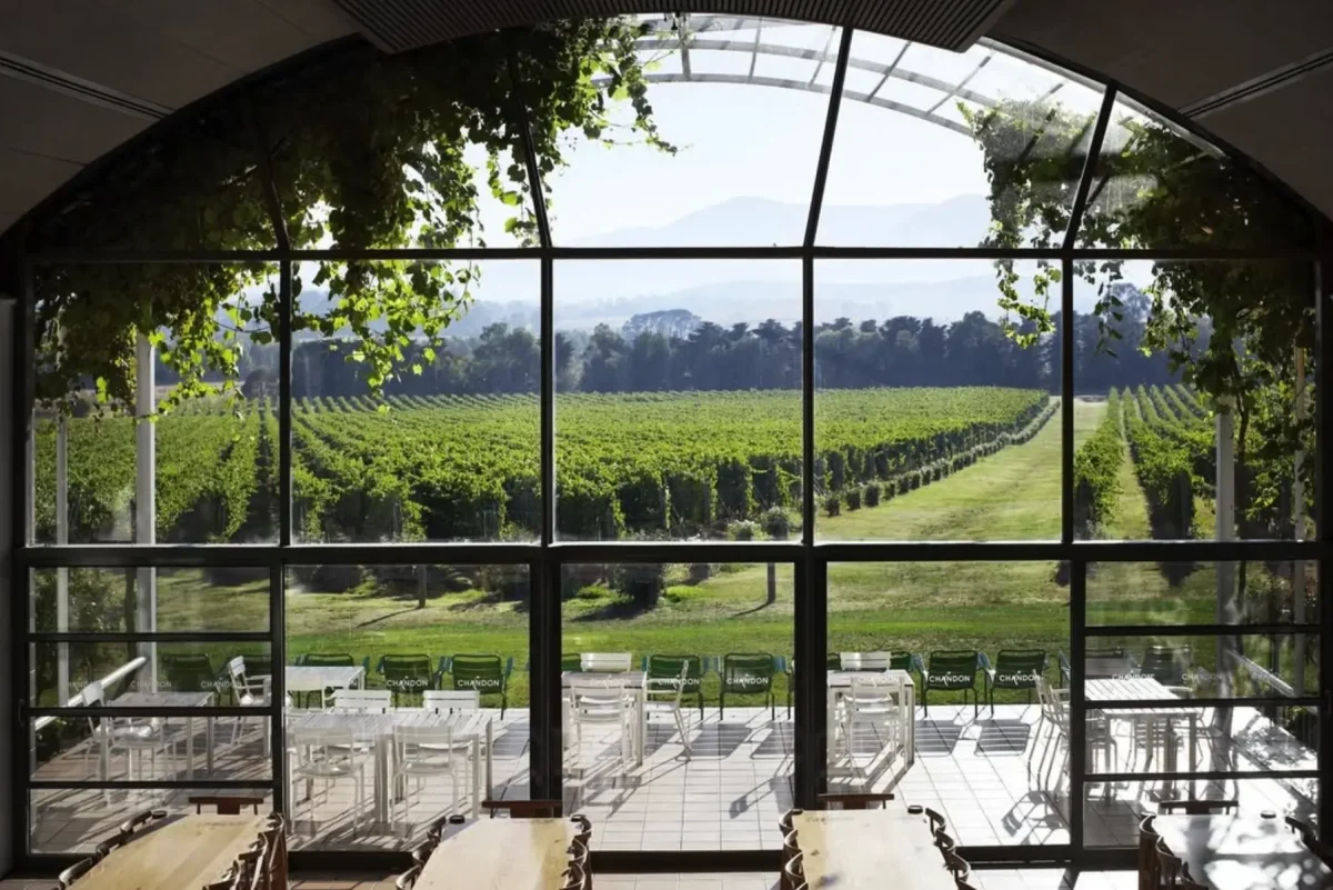 Which Smaller Yarra Valley Wineries Are Actually Open For Walk-Ins In 2026?