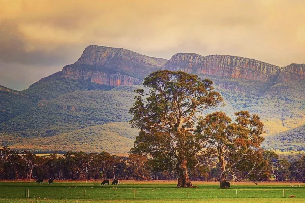 10 wondeful experiences in the Grampians