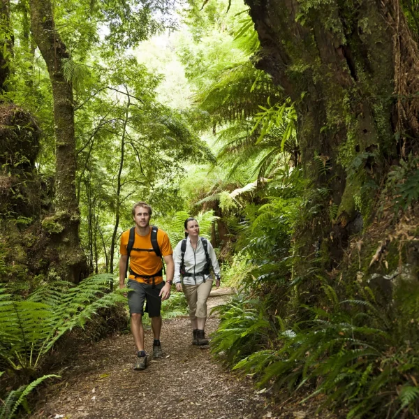 12 apostles melbourne