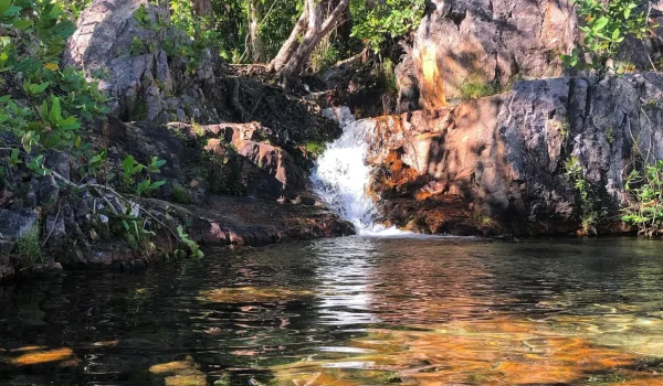 All-Inclusive vs. DIY Is the $140 Full-Day Croc & Litchfield Tour Worth It