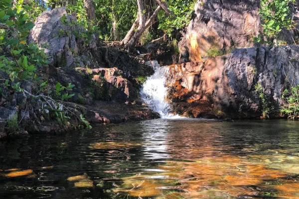 All-Inclusive vs. DIY Is the $140 Full-Day Croc & Litchfield Tour Worth It