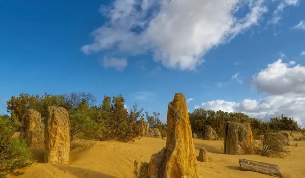 Is The Pinnacles Desert Worth It