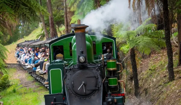 Is The Puffing Billy Train Better Experienced As A Standalone Trip Or Paired With Phillip Island