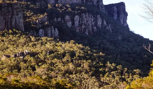 Local Produce in the Grampians