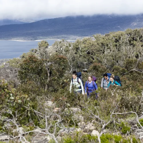 Northern Grampians