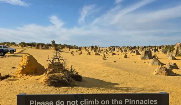 Pinnacles For All Ages Is The 1.5km Loop Trail Suitable For Toddlers And Seniors