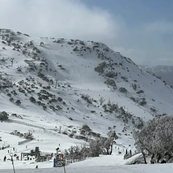 Snowy Mountains The Undisputed King of Cool Summers