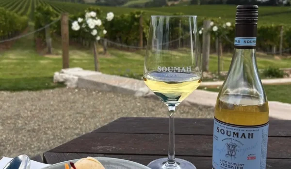Solo Travel To Yarra Valley