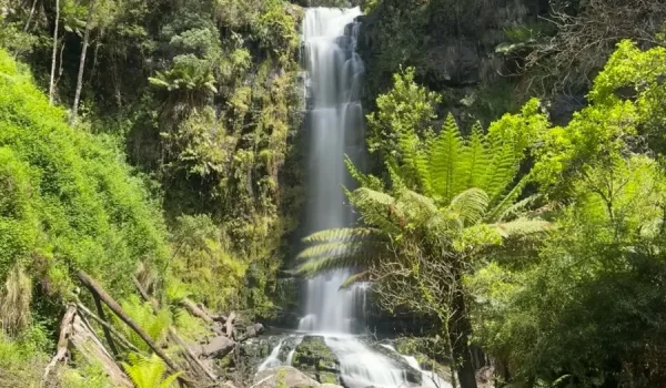 Things to do in the Otways