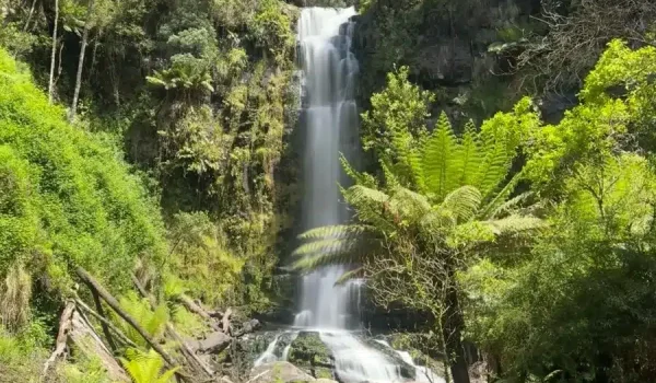 Things to do in the Otways