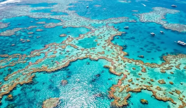Where Can I Find Photography-Focused Reef Tours That Allow For More Time At A Single Site