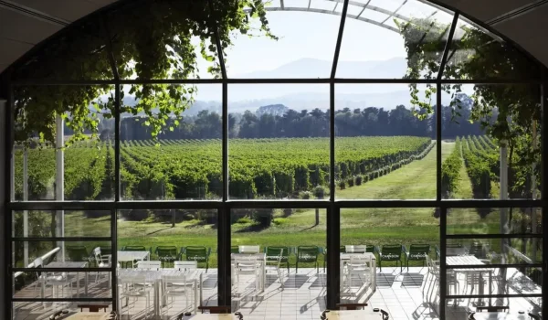 Which Smaller Yarra Valley Wineries Are Actually Open For Walk-Ins In 2026?