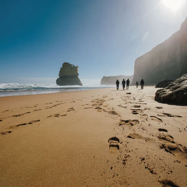 best great ocean road tours