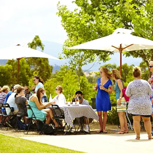best melbourne wine tours