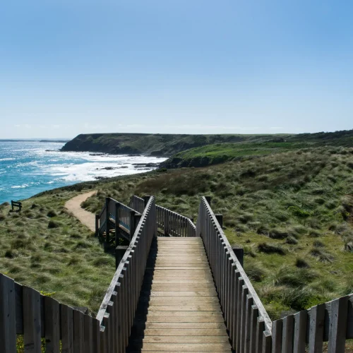 day trip melbourne to phillip island