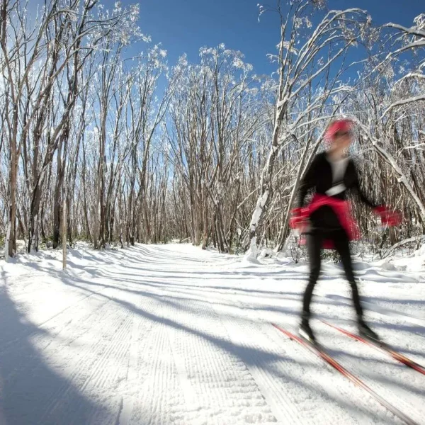 day trips to the snow