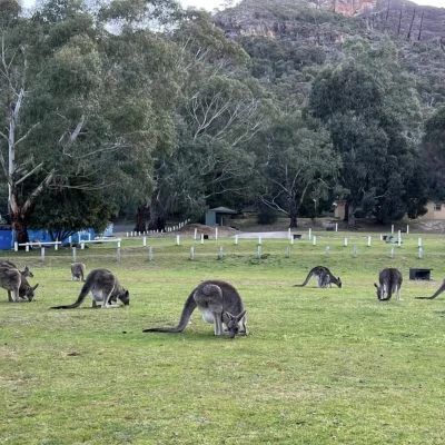 grampians day tour